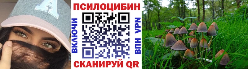 Псилоцибиновые грибы мухоморы  Купить где  Камбарка 